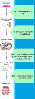 Self-Assembling Imageable Silk Hydrogels for the Focal Treatment of Osteosarcoma